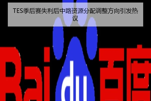 TES季后赛失利后中路资源分配调整方向引发热议